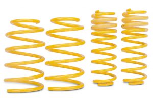 Lowering Springs