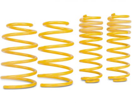 Lowering Springs