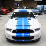 2010 Ford Mustang Shelby GT500